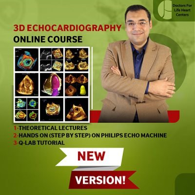 3D Echo Course